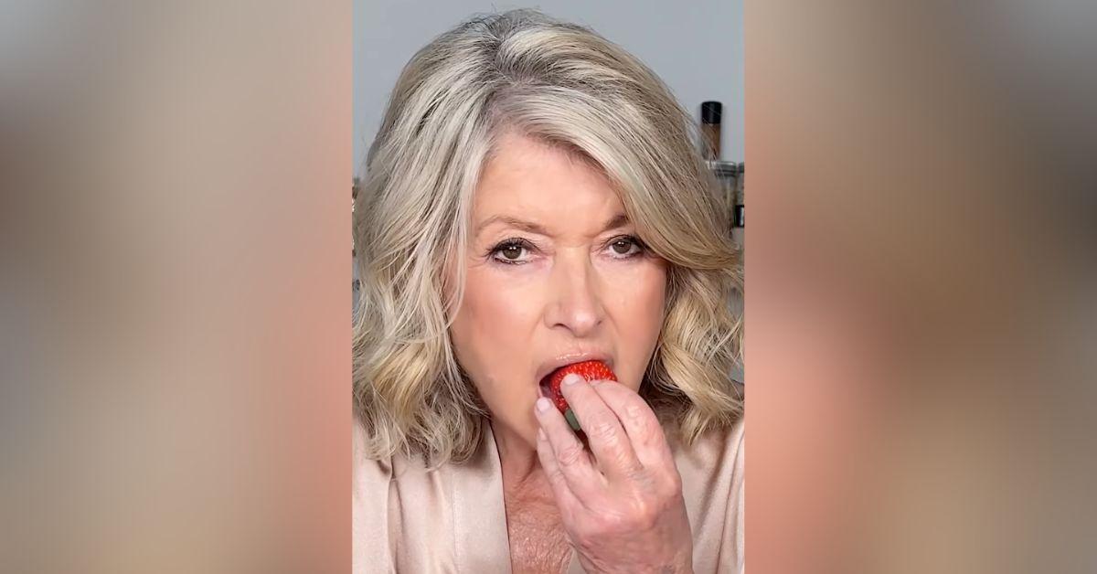 martha stewart mac promotion video suggestive