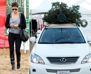 2010__12__Halle_Berry_Dec8_51a 300×244.jpg