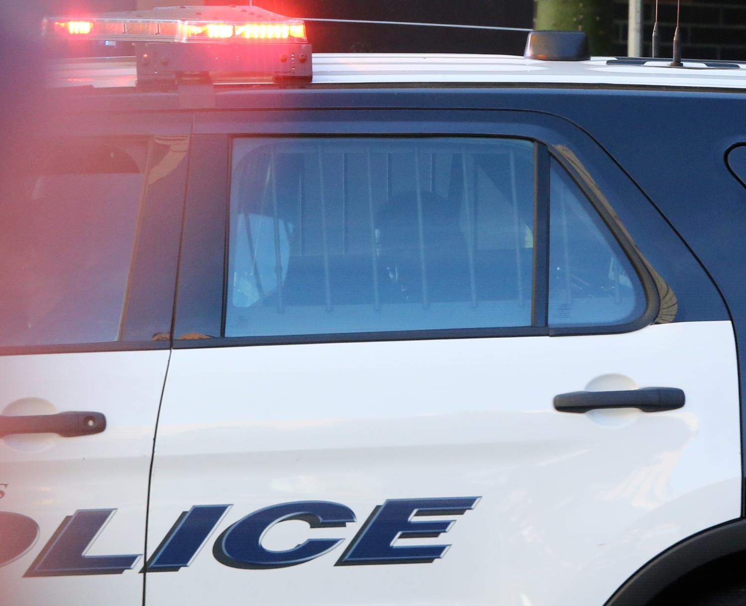 P. Diddy sits in a police car after being arrested