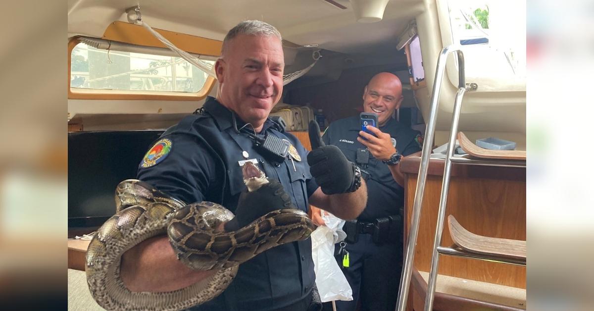 foot python florida sailboat released to wildlife handler