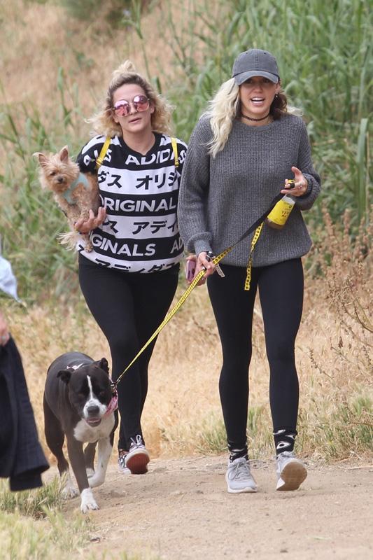 *EXCLUSIVE* Miley Cyrus takes her dog out for a hike with friend Wayne Coyne