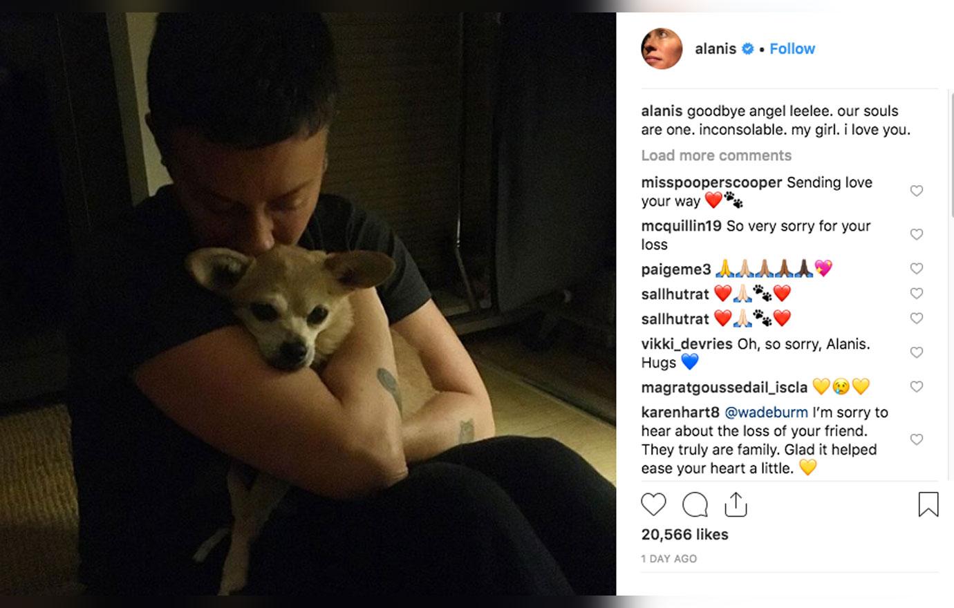 Alanis morrissette inconsolable dog passes away 1