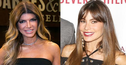 Teresa giudice sofia vergara feature