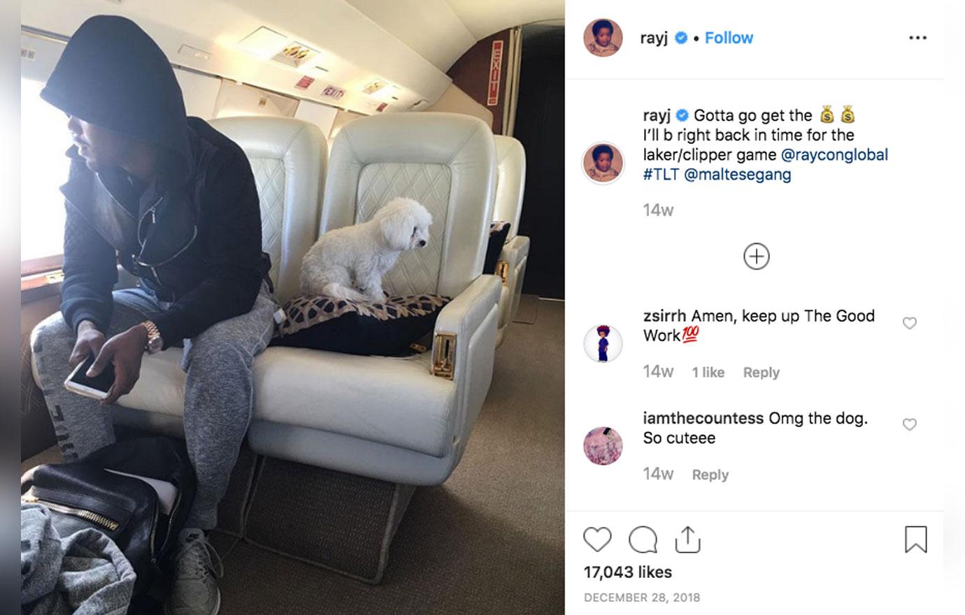 Ray J Claims His Dog Was Kidnapped, Offering 20,000 If Returned