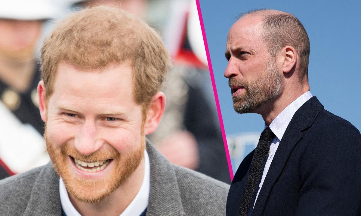 Prince William , Prince Harry
