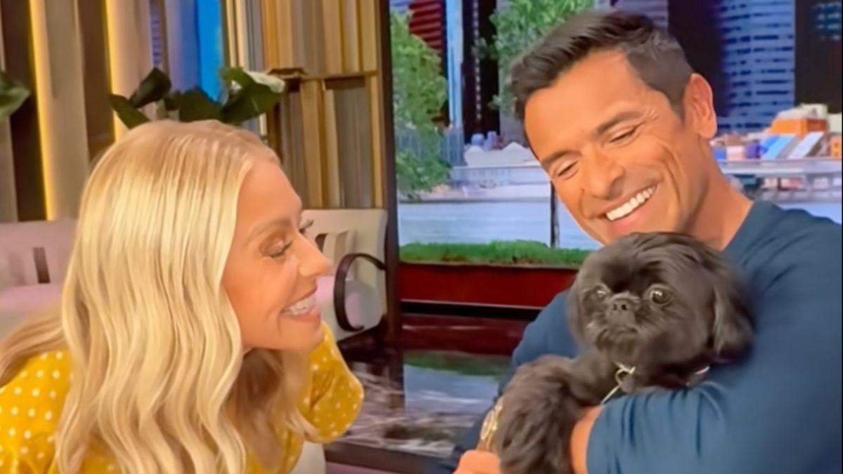 Image of Mark Consuelos admitted he has a 'codependent' relationship with his and Kelly Ripa's dog Lena.