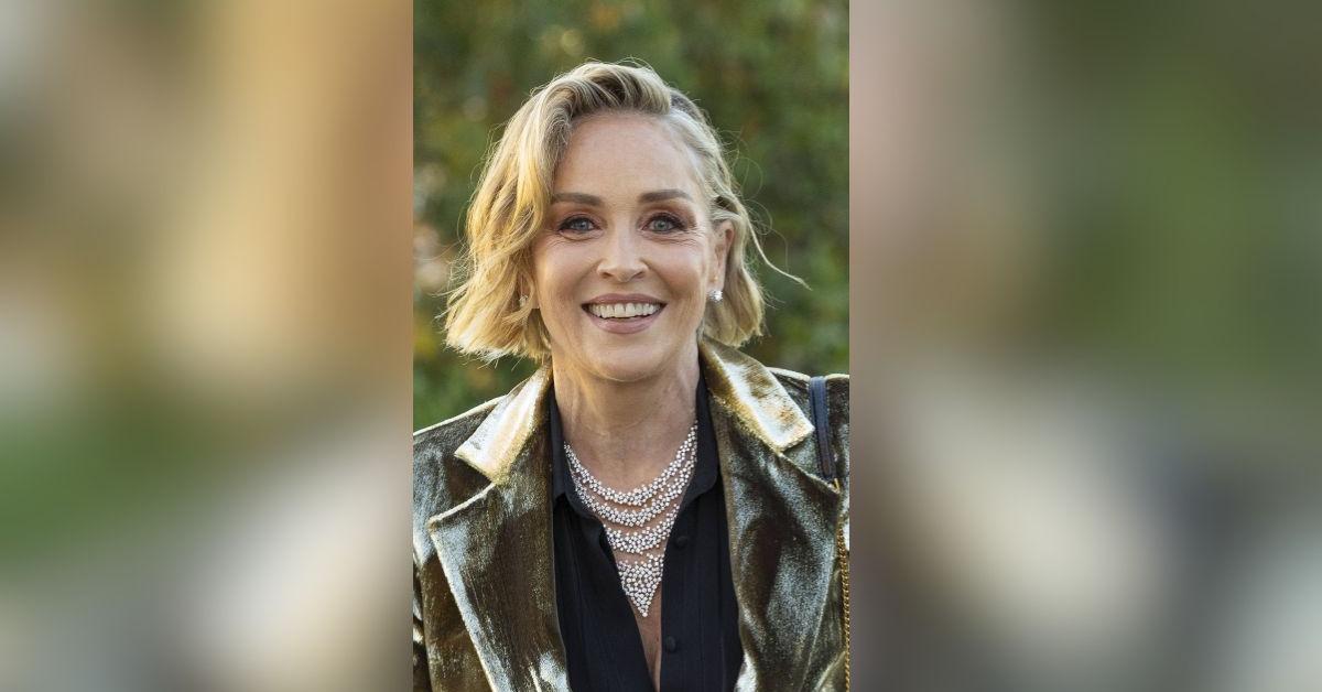 Sharon Stone at Center of 'Horrific' Attack Fears After She Shared Horrific Tale of Forgotten Head Trauma