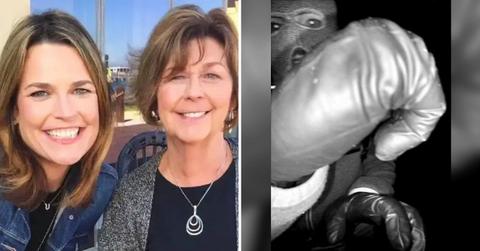 Composite photo of Nancy and Savannah Guthrie and suspect