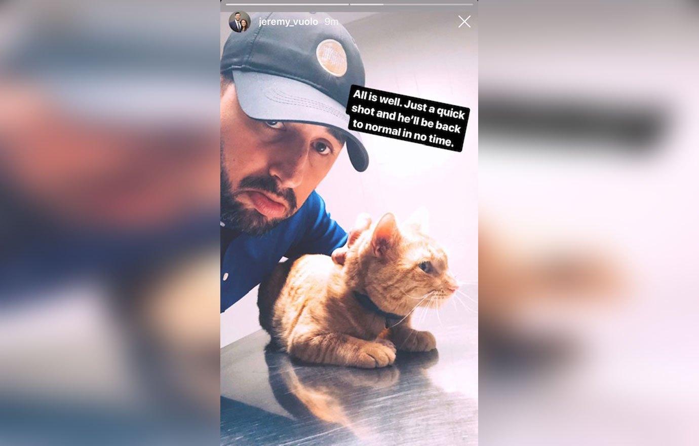 Counting on jinger duggar husband jeremy vuolo cat health crisis update 2