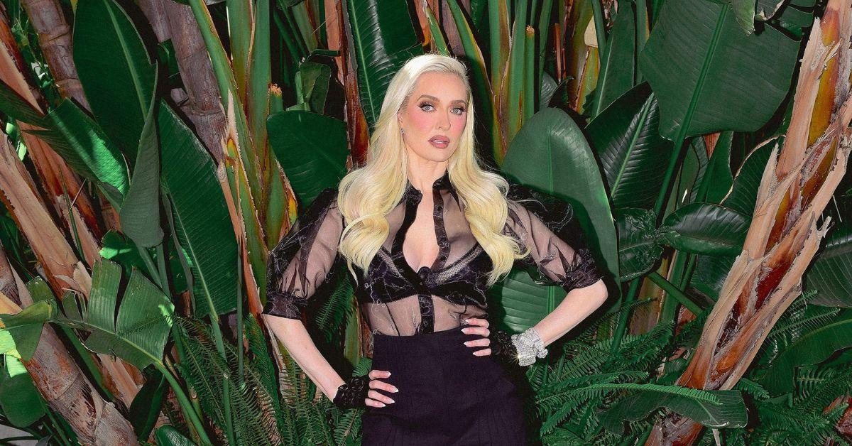erika jayne dating john mcphee