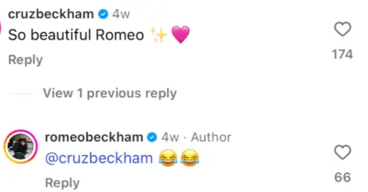 beckham family feud shade nicola peltz romeo cruz brooklyn