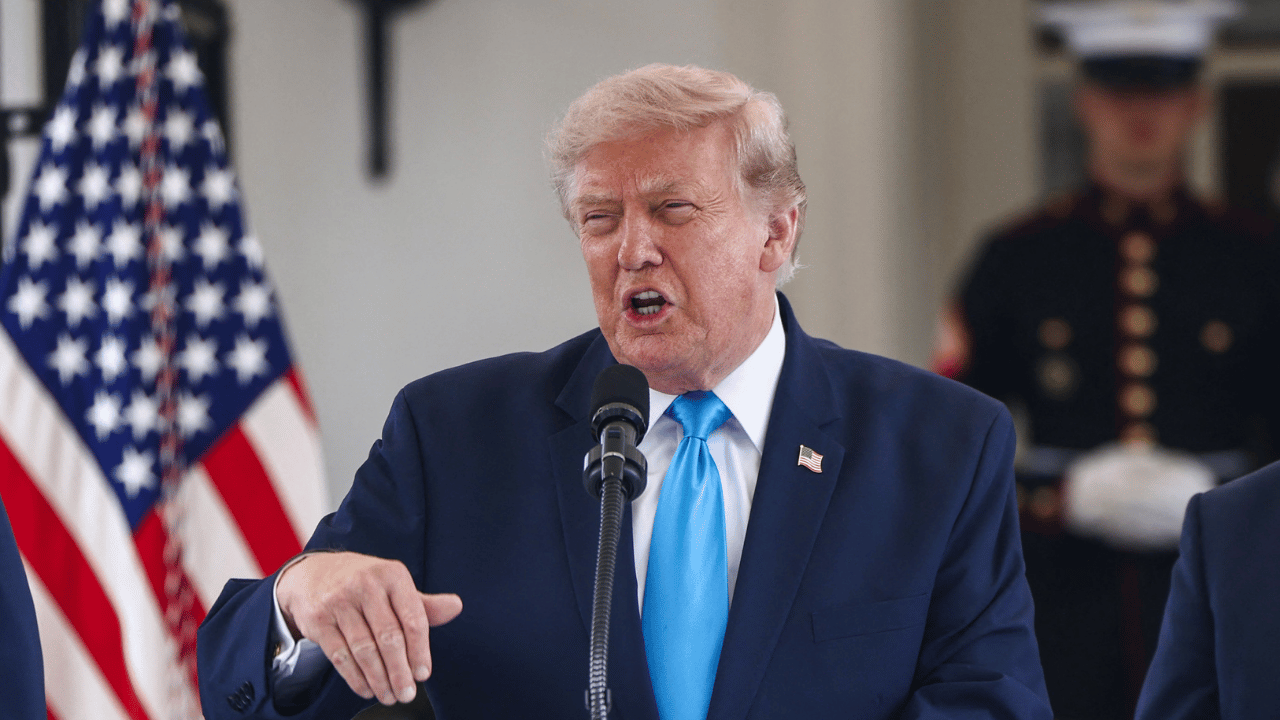 Image of Democratic strategist Adrienne Elrod warned impeaching Donald Trump would be a 'distraction' to other voter concerns.