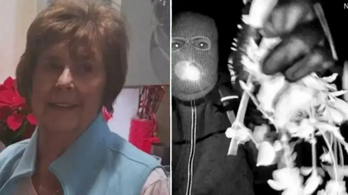 image of Nancy Guthrie has been missing since February 1. 