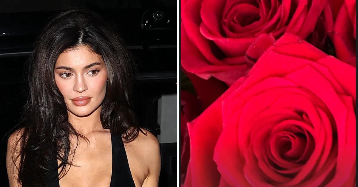 Photo of Kylie Jenner; picture of roses.