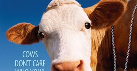 Filthy Rich–Cattle Drive