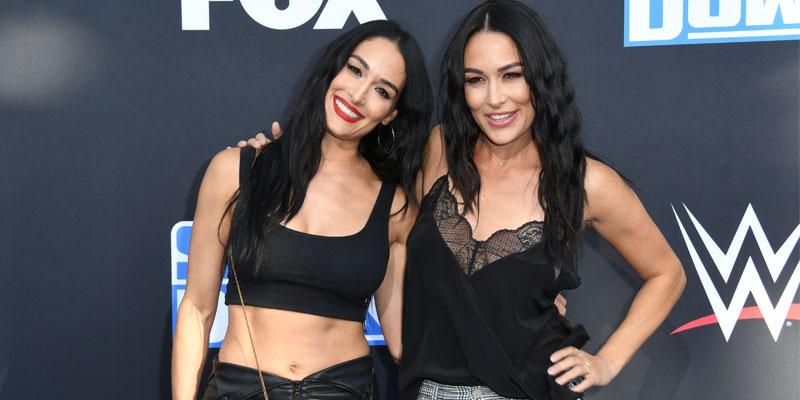 nikki-brie-bella