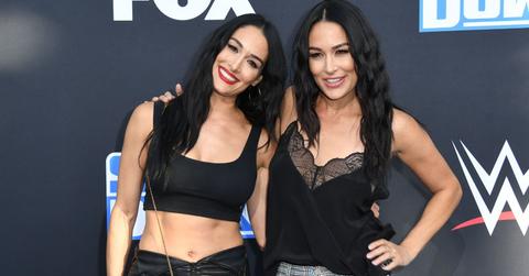 nikki-brie-bella
