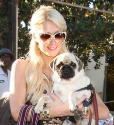 2010__08__wenn2970938 229×300.jpg