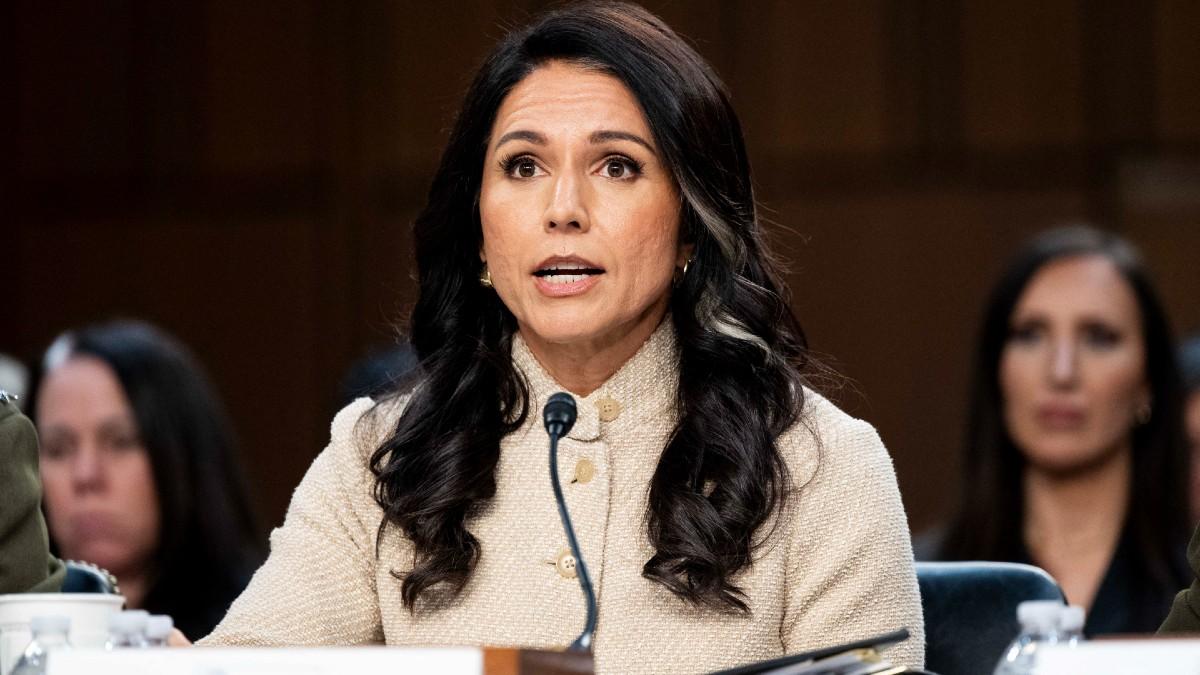 Photo of Tulsi Gabbard