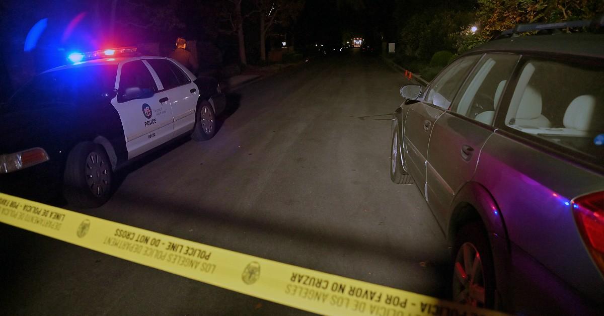 Image of Rob and Michele Reiner's son allegedly killed them.