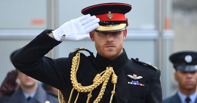 PICS Prince Harry Salutes Servicemen At The Field of Remembrance