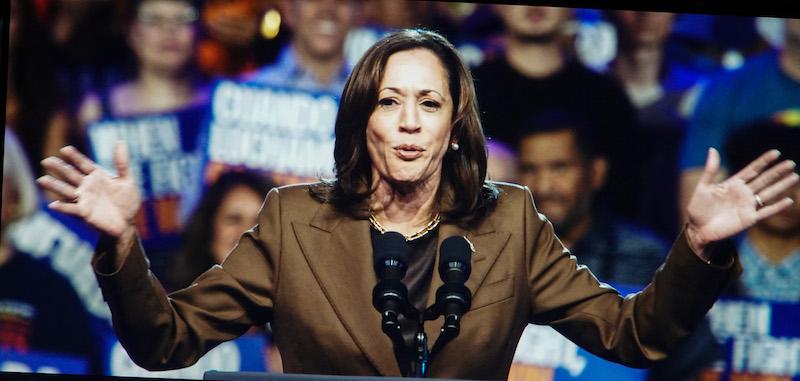 donald trump kamala harris lashes out stupid