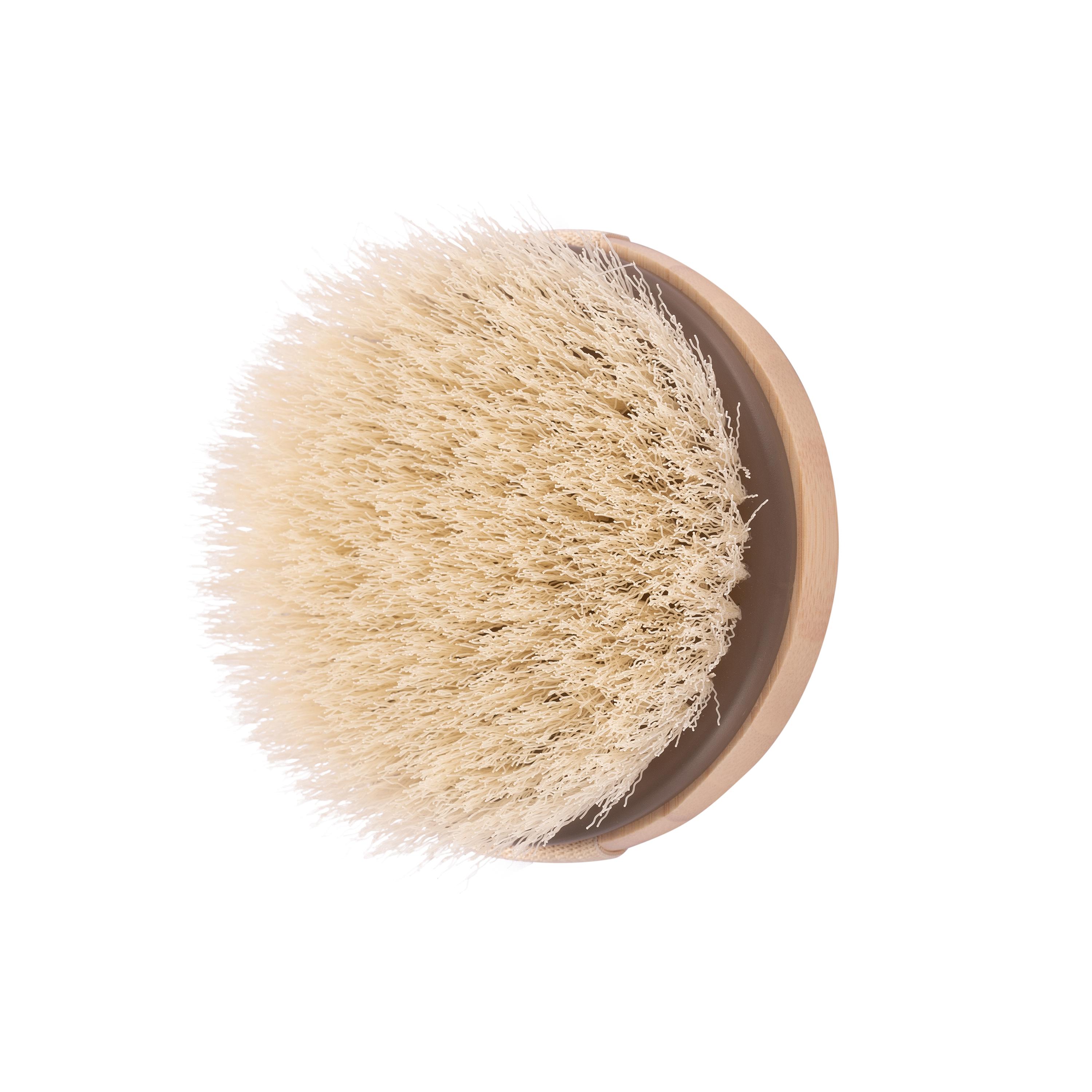 ecotools dry brush