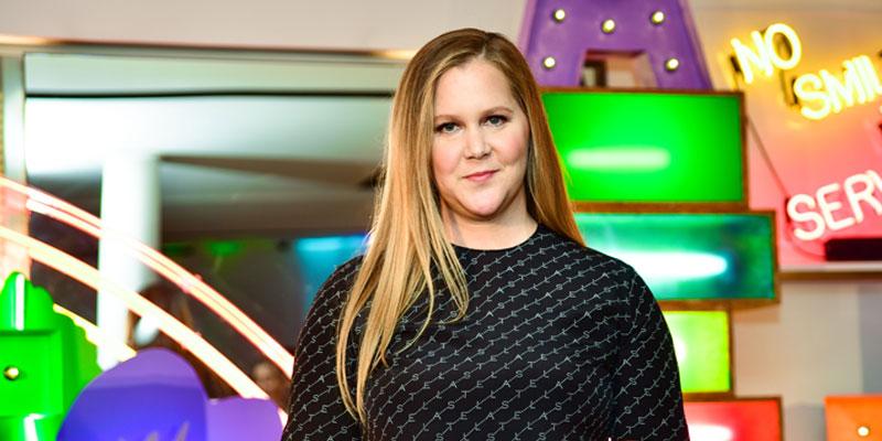 amy schumer pregnant ivf