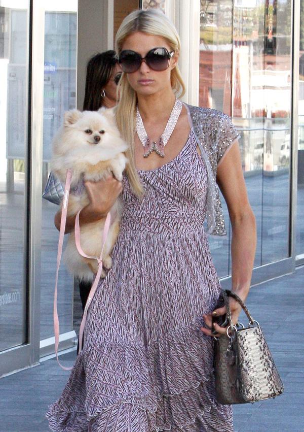 Paris Hilton Out Shopping At The Container Store