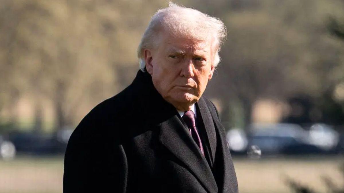 photo of donald trump