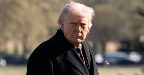 photo of donald trump