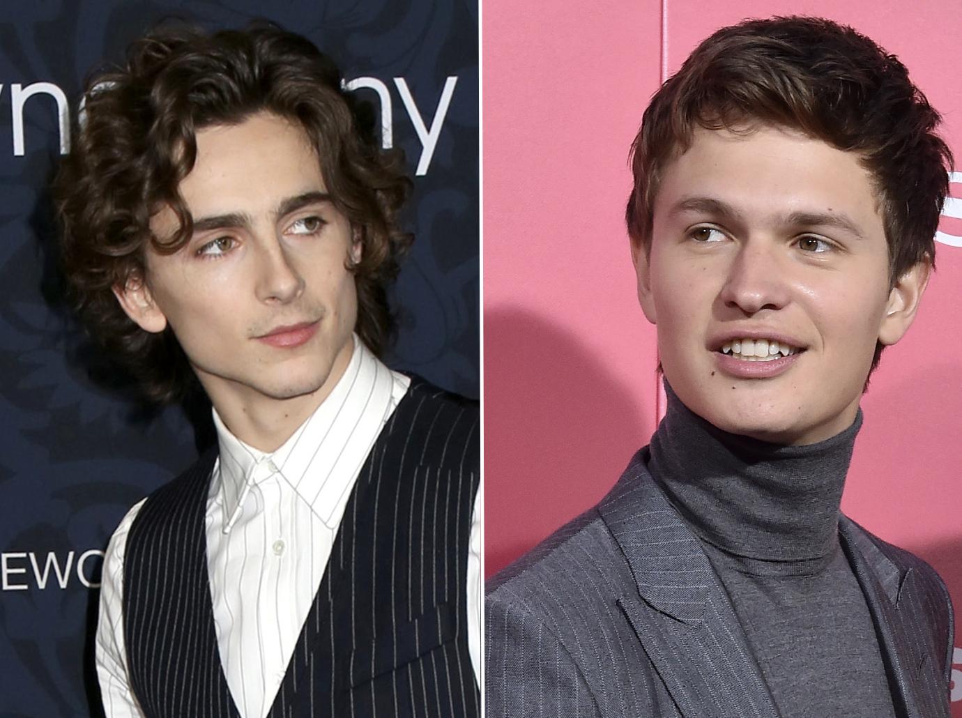 classmates gallery timothee chalamet ansel elgort