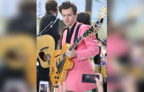 harry styles style icon