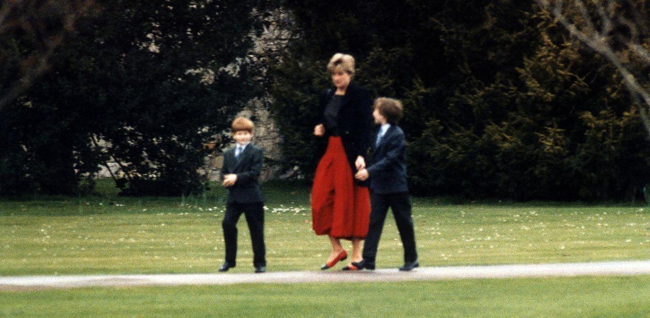 princess diana would be devastated prince harry left prince william