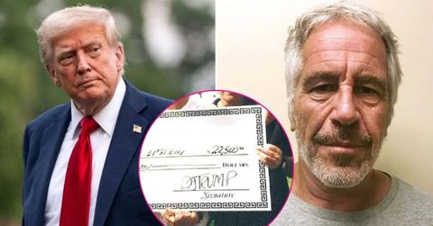 Composite photo of Donald Trump, Jeffrey Epstein and a check.