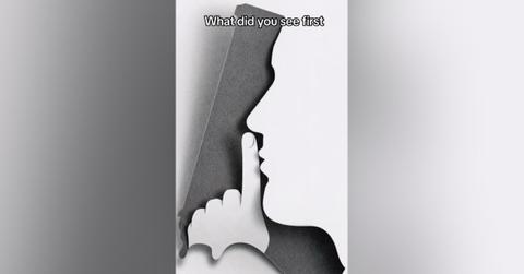 see first optical illusion what type friend trusted