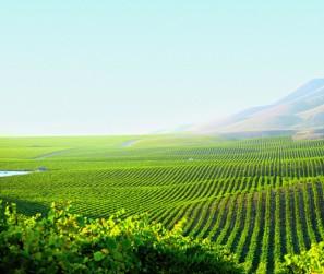 2011__03__007_TRAVEL_BAC_000 297×300.jpg