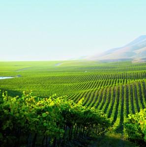 2011__03__007_TRAVEL_BAC_000 297×300.jpg