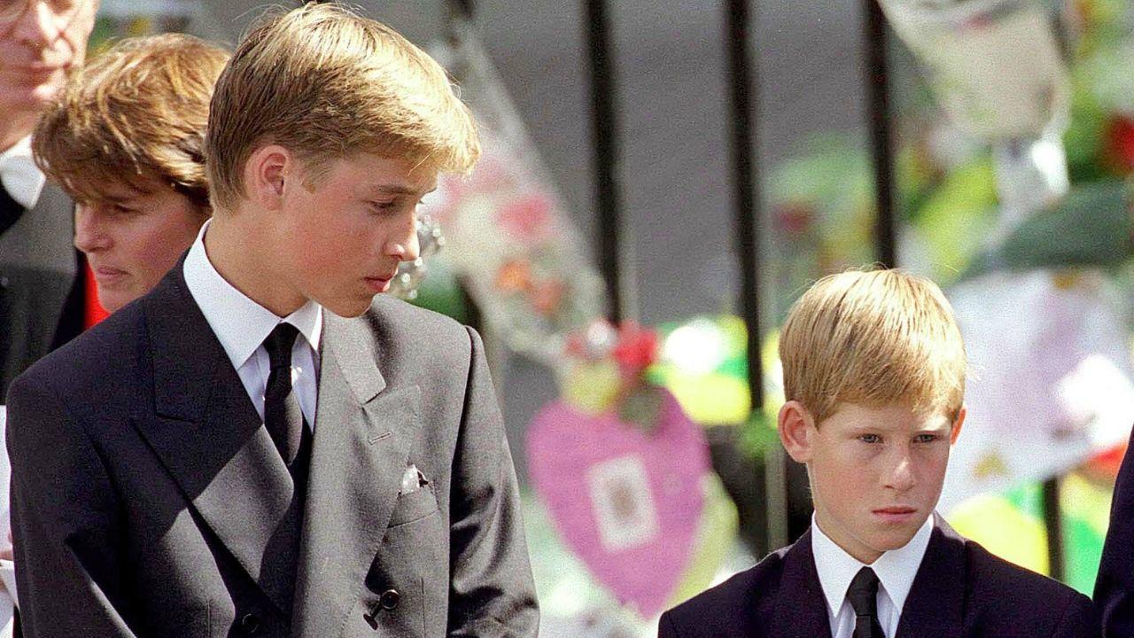 image of harry and William