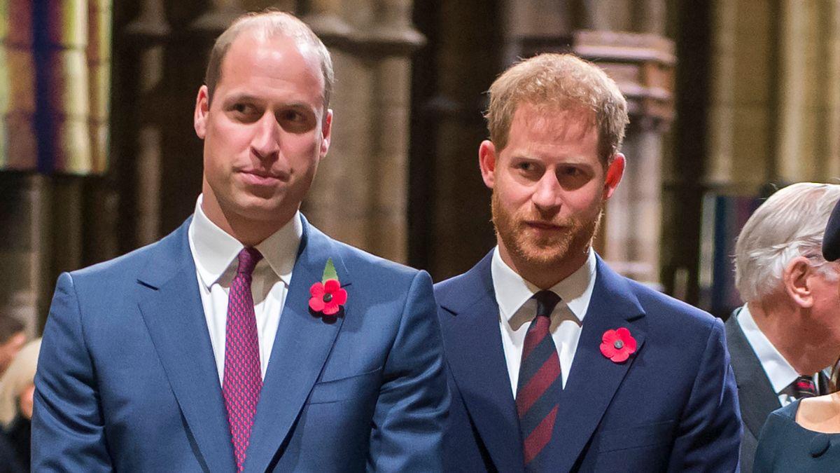 image of prince harry and prince William