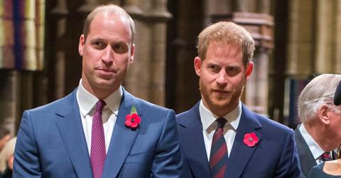 image of prince harry and prince William