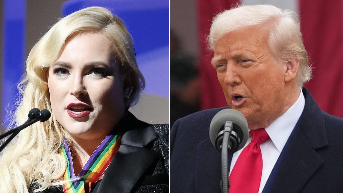 split of Meghan McCain, Donald Trump. 