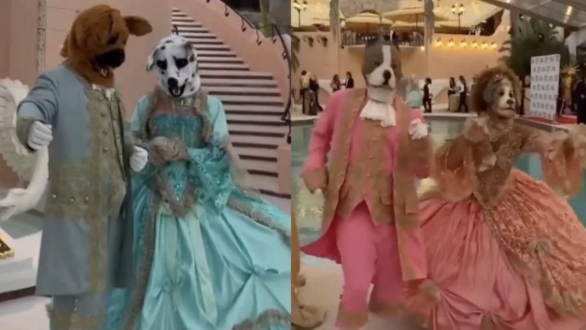 image of The Humane Society’s Hero Dog Awards Gala has been widely mocked online.