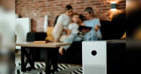 best rated home air purifiers what to buy for a healthier home