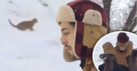 Derick running over cat