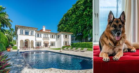 world richest dog german shepherd gunther iv selling madonna miami mansion one million dollars ok