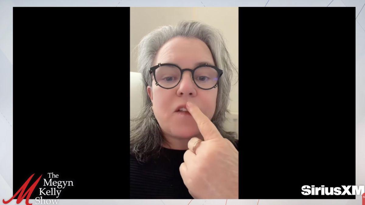image of Rosie o Donnell 