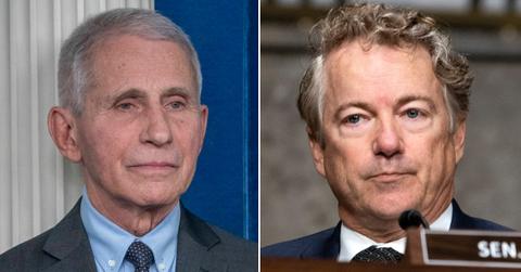 anthony fauci senator rand pp