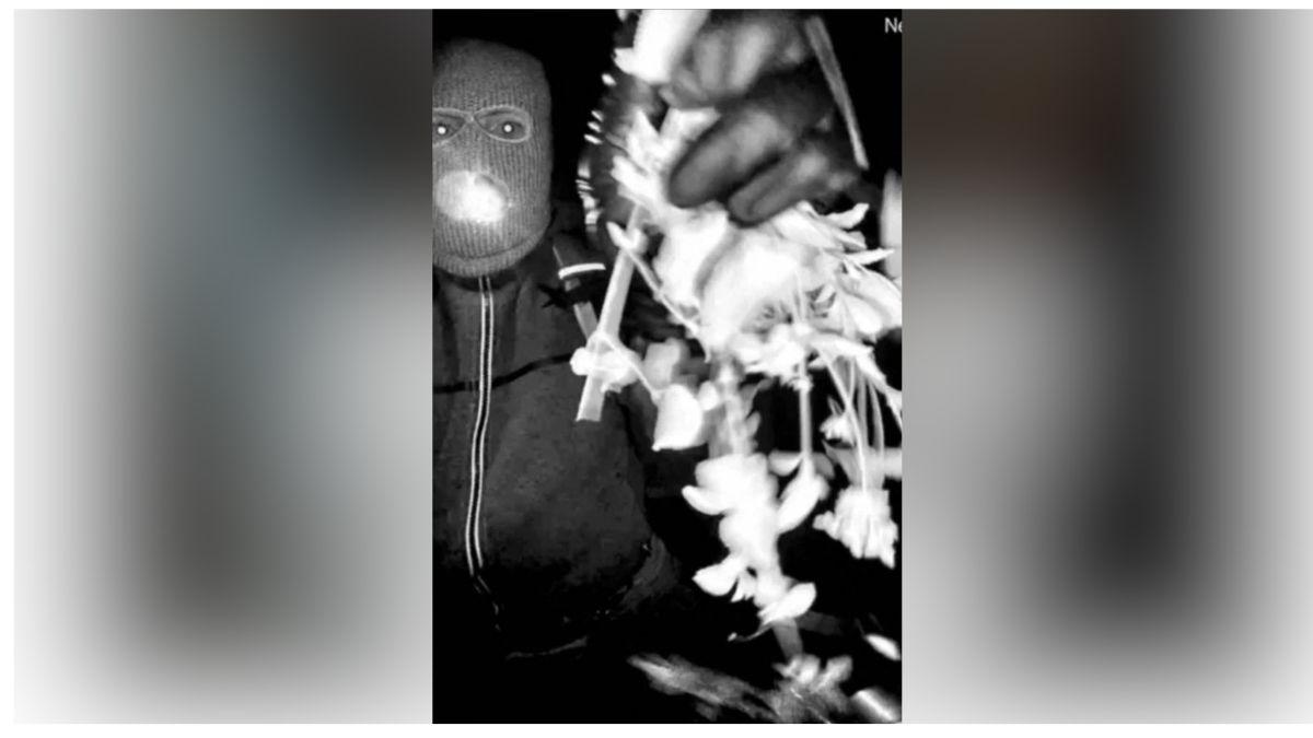 Image of possible suspect in Guthrie disappearance