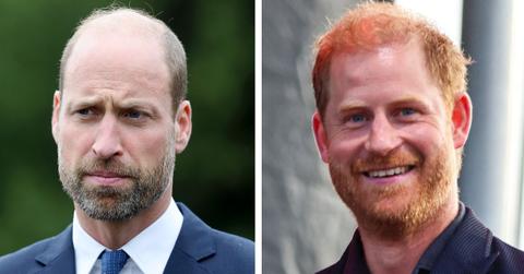 prince william mentions harry interview